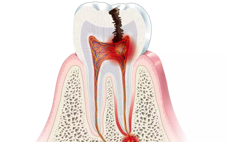 polski dentysta